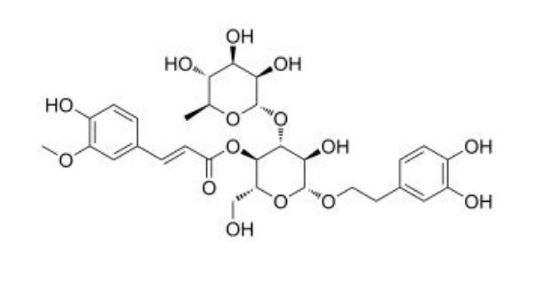 米團花苷A,Leucosceptoside A