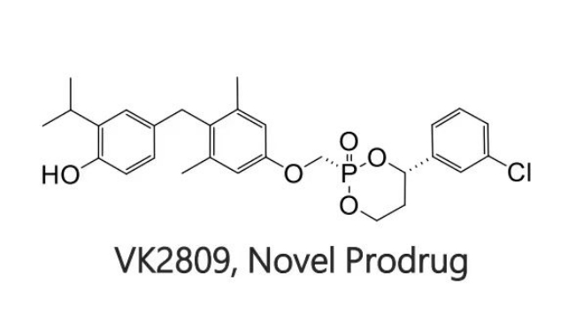 MB-07811,VK2809