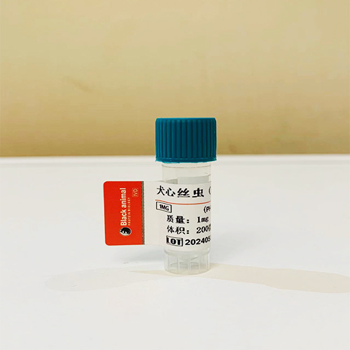 犬心絲蟲蛋白，犬心絲蟲抗原,Dirofilaria immitis