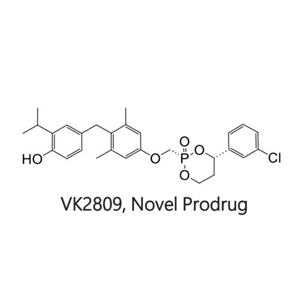 MB-07811,VK2809