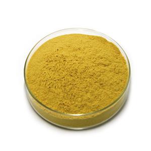 姜黃素,Curcumin