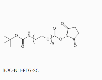 叔丁氧羰基-亞氨基-聚乙二醇-活性酯,BOC-NH-PEG-SC