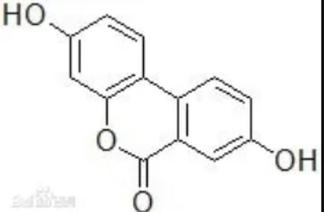 尿石素A,3,8-dihydroxy-6H-dibenzo(b,d)pyran-6-one