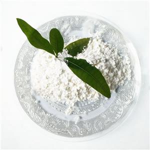 2-氨基-6-甲砜基苯并噻唑,Pramipexole Impurity 23