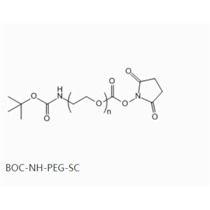 叔丁氧羰基-亚氨基-聚乙二醇-活性酯