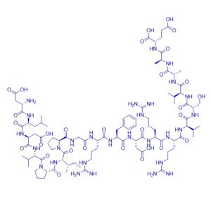 Calcineurin Substrate/113873-67-9/酶底物多肽Calcineurin Substrate