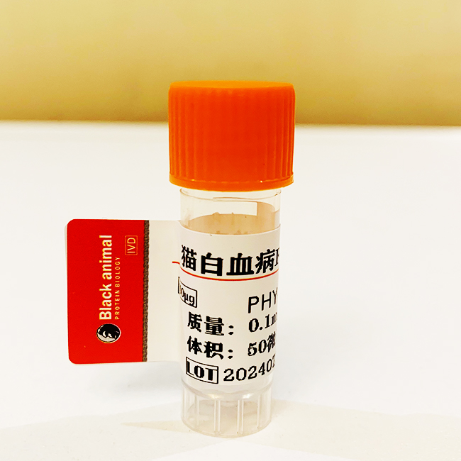 貓白血病FELV單克隆抗體；貓白血病抗體,Monoclonal antibodies leukemia and  virus