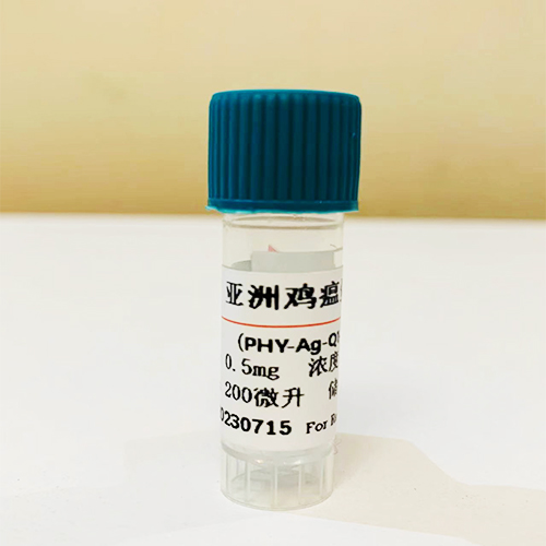 鴨肝炎表面抗原單克隆抗體；鴨肝炎表面抗體,HBsAg protein