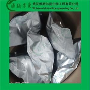 琥珀酸普蘆卡必利,Prucalopride Succinate