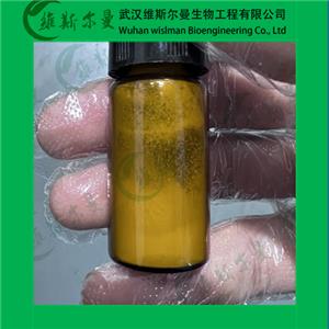 林扎戈利膽堿,Linzagolix choline