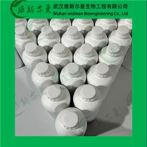 林扎戈利膽堿,Linzagolix choline