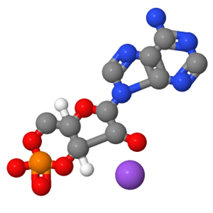 環(huán)磷腺苷鈉,Adenosine 3