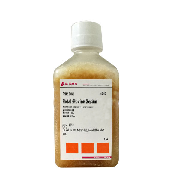 胎牛血清,Fetal Bovine Serum