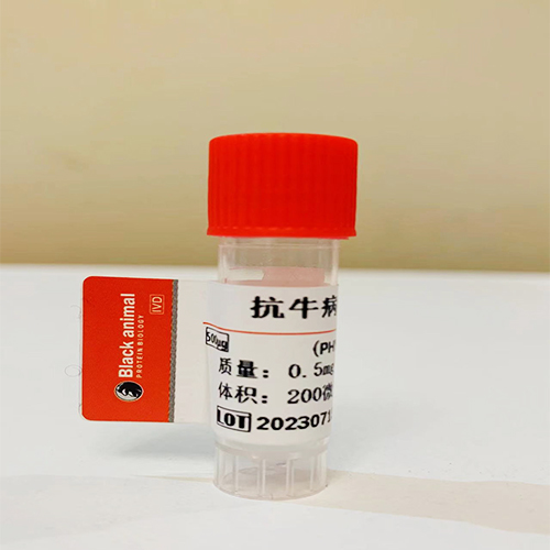 抗牛布魯氏菌單克隆抗體；牛布氏桿菌病毒抗體,Monoclonal antibody against Brucella abortus  (Brucellosis)