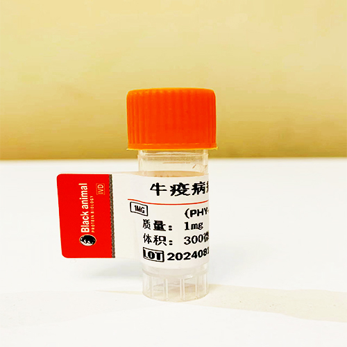 抗牛痘病毒單克隆抗體；牛天花病毒抗體,Monoclonal antibody against Vaccinia virus