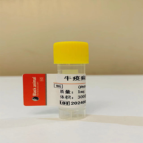 抗牛皰疹病毒1型單克隆抗體；牛傳染性鼻氣管炎抗體,Bovine herpesvirus 1 BoHV-1