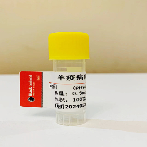 抗羊布魯氏菌單克隆抗體；羊布魯氏菌抗體,Monoclonal antibody against Brucella ovis