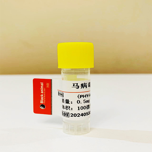 抗馬皰疹病毒EHV單克隆抗體；馬傳染性鼻肺炎抗體,Monoclonal antibody against equine herpes virus