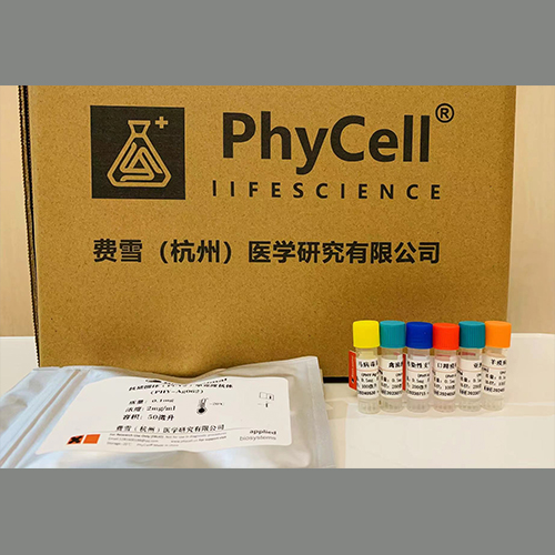 子宫内膜抗原；子宫抗原,Endometrial antigen