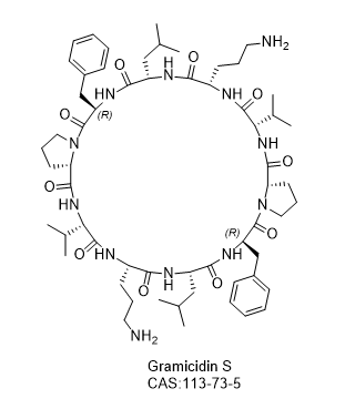 Gramicidin S,Gramicidin S