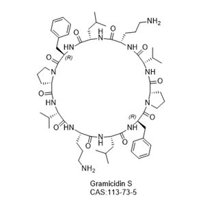 Gramicidin S