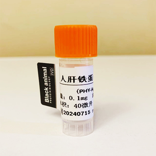 人肝鐵蛋白(Ferritin)抗原;人鐵蛋白,Ferritin