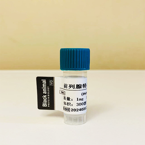 前列腺特异性膜抗原（PSMA）；叶酸水解酶1（FOLH1）,Prostate-SpecificMembraneAntigen PSMA