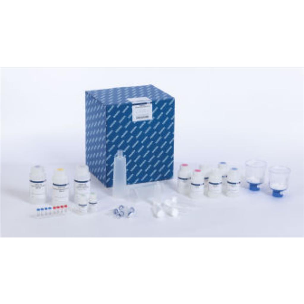 QIAGEN Plasmid Plus Midi 質(zhì)粒提取試劑盒（100次）,QIAGEN Plasmid Plus Midi Kit (100)