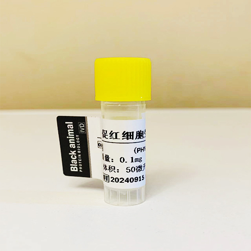 促红细胞生成素（EPO）；红细胞刺激因子,EPO-Ag