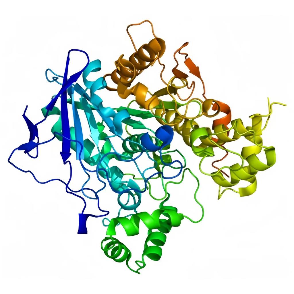 葡萄糖脫氫酶,Glucose Dehydrogennase