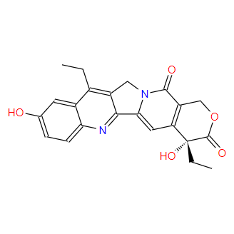 (R)-SN-38,(R)-SN-38