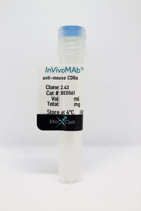 體內單克隆抗體抗小鼠CD8α,InVivoMab anti-mouse CD8α