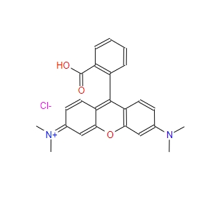 四甲基玫瑰精,TETRAMETHYLRHODAMINE