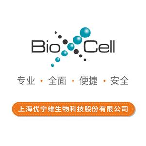 體內單克隆抗體抗小鼠CD8α,InVivoMab anti-mouse CD8α