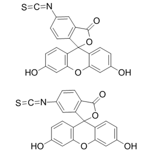 異硫氰酸熒光素,Fluorescein isothiocyanate