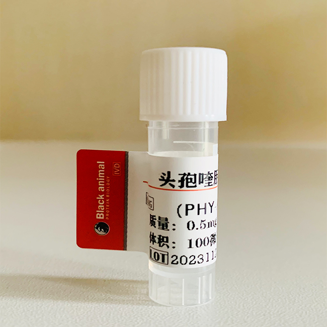 頭孢喹肟抗體；頭孢喹肟單克隆抗體,Cefquinome CEQ