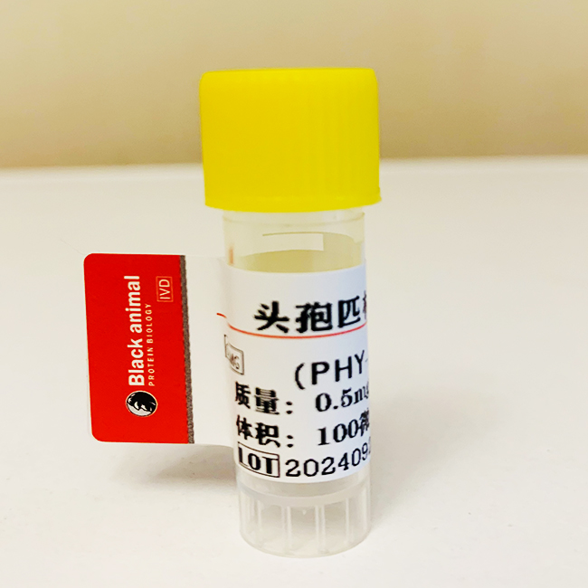 頭孢匹林單克隆抗體；頭孢匹林抗體,Cephalosporin CEP