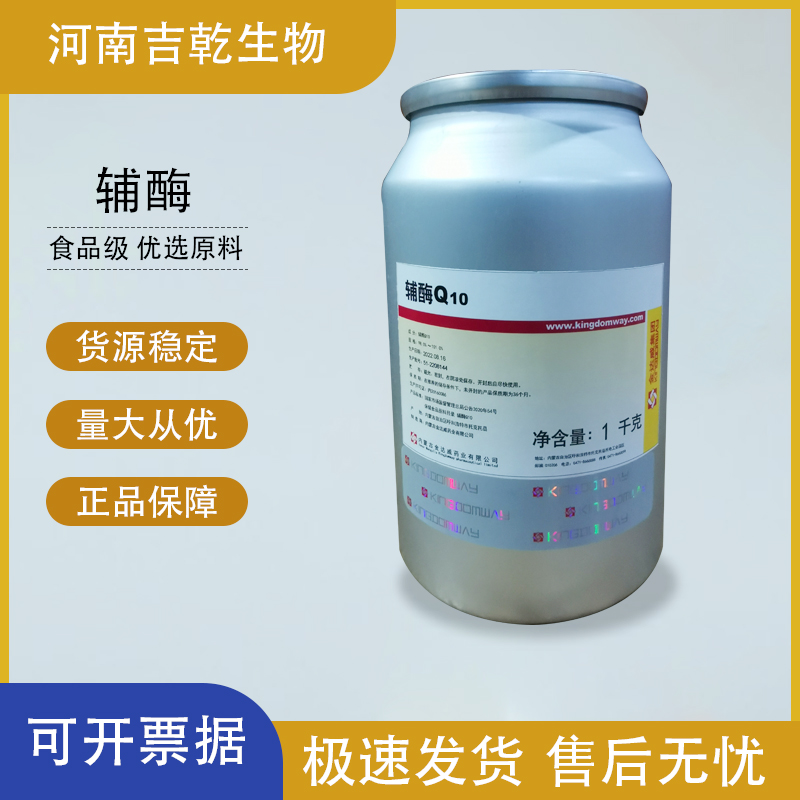 輔酶Q10,Coenzyme Q10