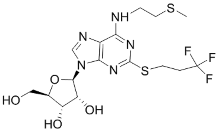 N6-(2-甲硫基乙基)?-2-(3,3,3-三氟丙硫基)腺苷,(2R,3S,4R,5R)-2-(hydroxyMethyl)-5-(6-((2-(Methylthio)ethyl)aMino)-2-((3,3,3-trifluoropropyl)thio)-9H-purin-9-yl)tetrahydrofuran-3,4-diol