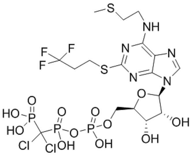 N-[2-(甲硫基)乙基]-2-[(3,3,3-三氟丙基)硫基]-5’-腺苷 P,P'-(二氯甲叉)二磷酸酐,N-?-(Methylthio)ethyl]-2-[(3,3,3-trifluoropropyl)thio]-5'-adenylic acid anhydride with P,P'-(dichloromethylene)bis[phosphonic acid]