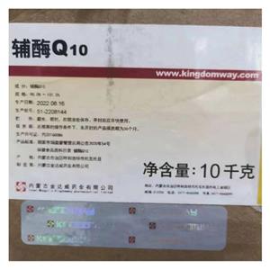 輔酶Q10,Coenzyme Q10