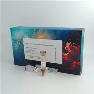 辰辉创聚生物Nebulabio蛋白亲和纯化树脂及磁珠