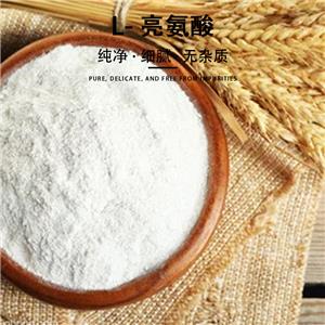 亮氨酸,Leucine