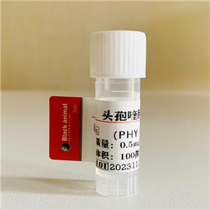 頭孢喹肟-BSA(OVA）偶聯(lián)抗原，頭孢喹肟抗原，Cefquinome（CEQ）抗原