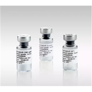 PepTivator CMV pp65人源肽池（60nmol）,PepTivator CMV pp65, human, 60nmol