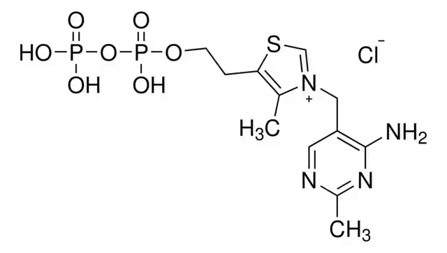 焦磷酸硫胺素,Cocarboxylase