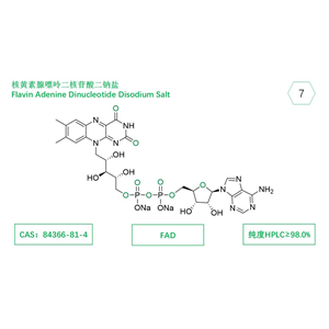 FAD；核黄素腺嘌呤二核苷酸二钠盐