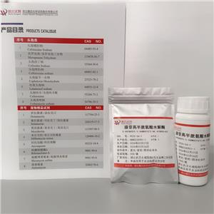 S-腺苷高半胱氨酸水解酶,Adenosylhomocysteinase