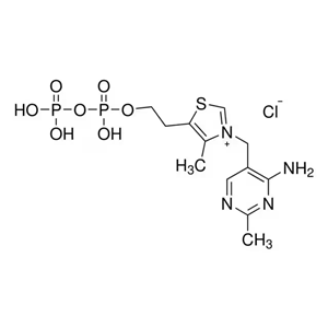 焦磷酸硫胺素 154-87-0