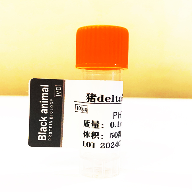 豬delta冠狀病N蛋白；豬德爾塔冠狀病蛋白，,Porcine Deltacoronavirus PDCoV